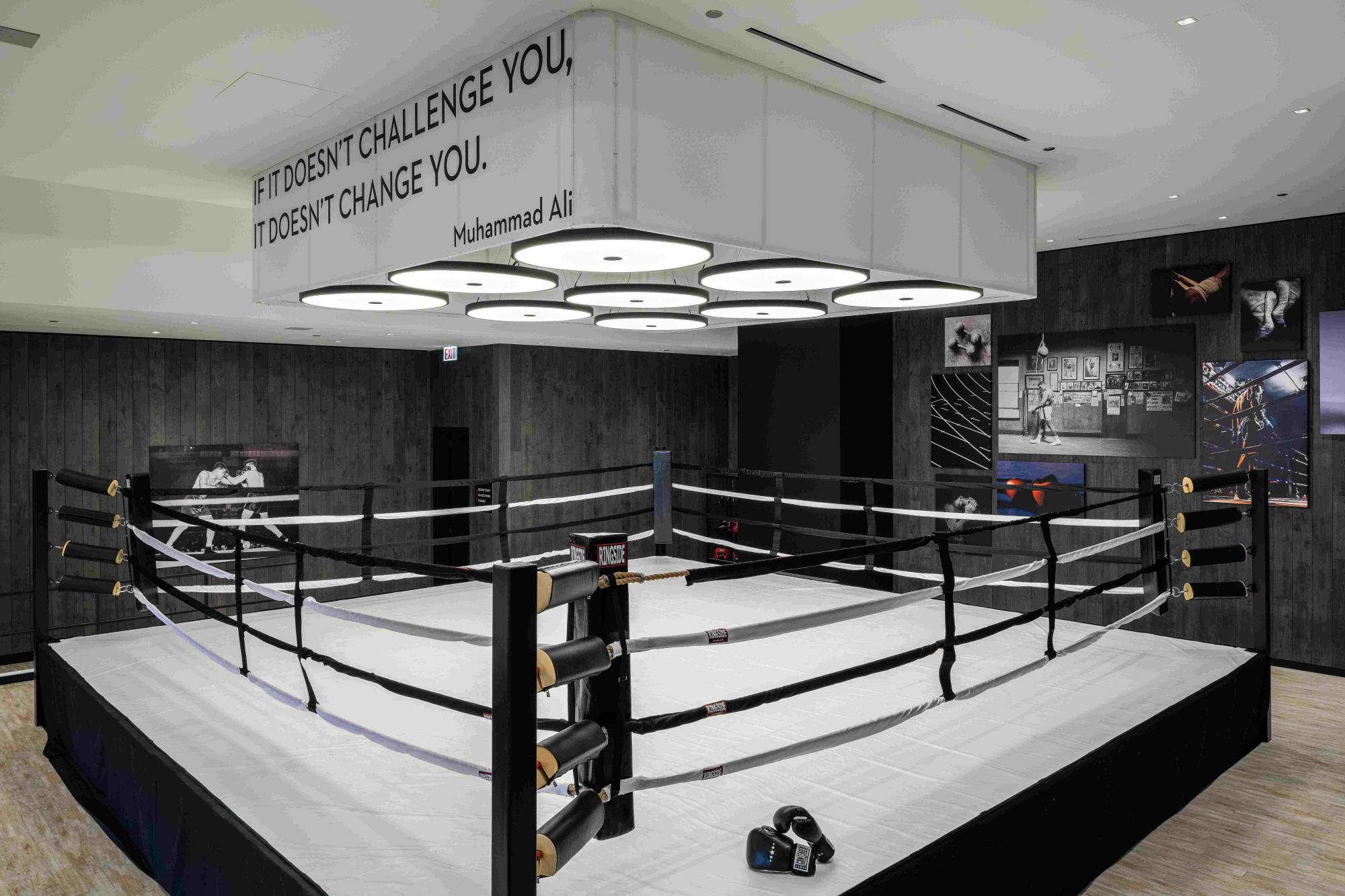 Wellnes at NEMA Chicago Boxing Ring